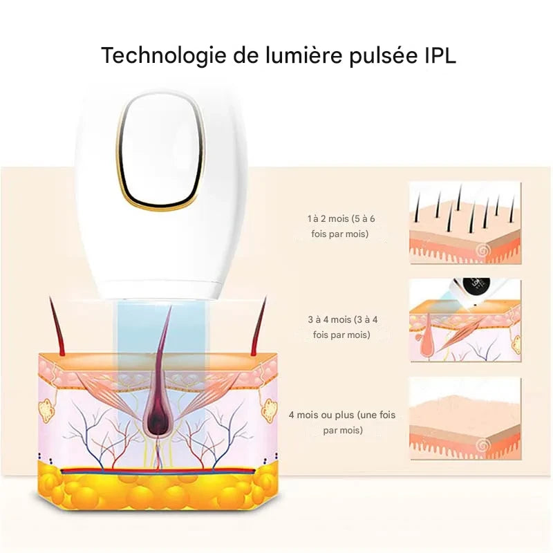 Un vrai professionnel chez vous