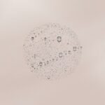 S05131393_2