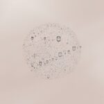S05131394_1